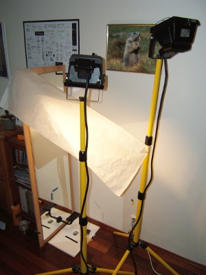 halogenová světla, natáčení videa